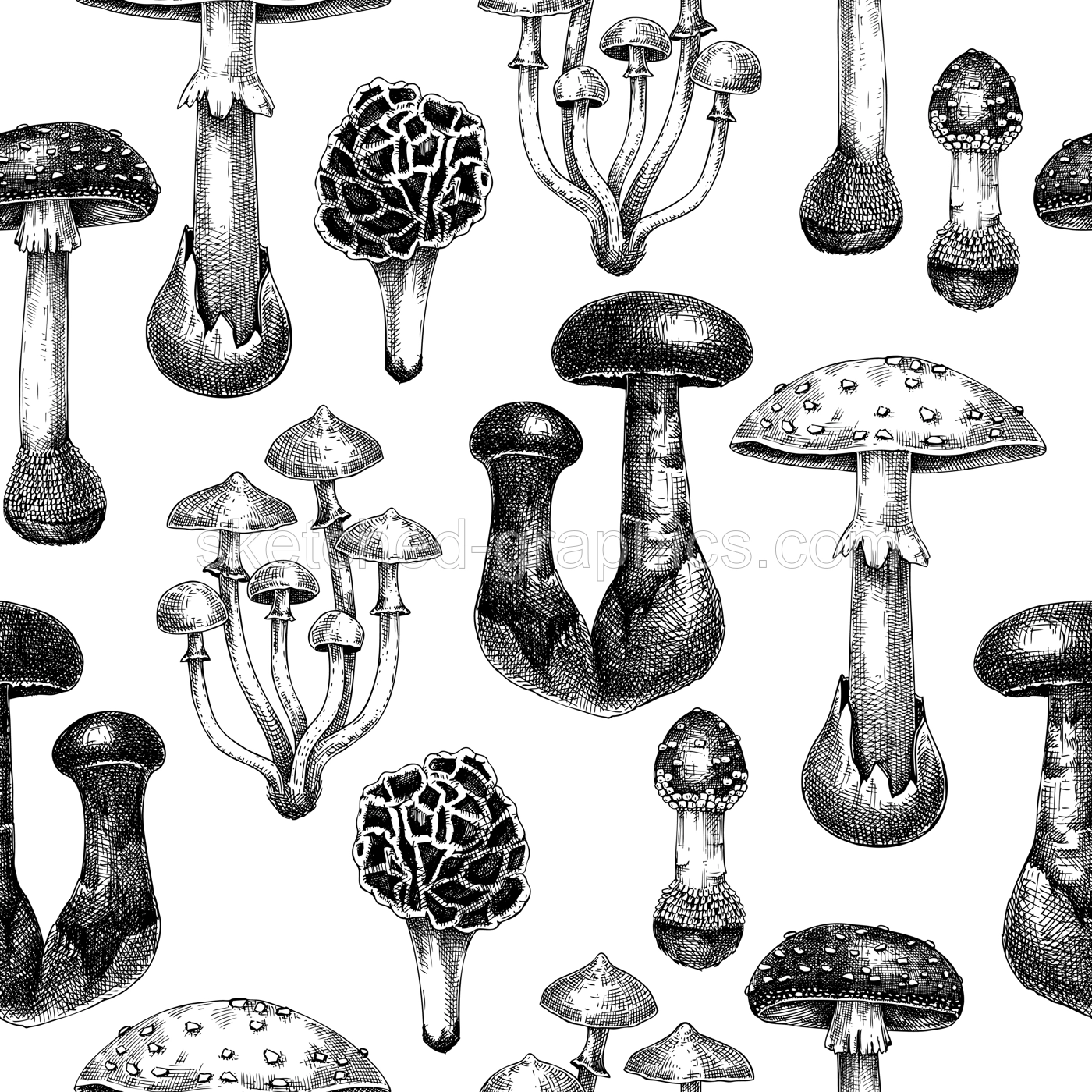 Poisonous mushrooms seamless pattern. Hand-drawn deadly fungus design. Vector forest plants background. Botanical illustrations, design elements. For packaging, print, banners, Illustration